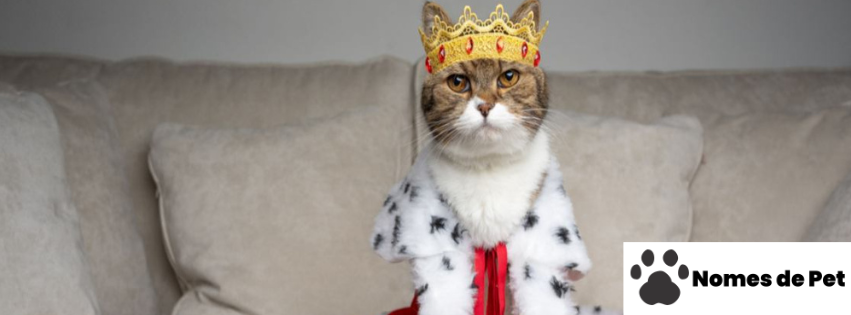 Nomes Nobres para Gatos