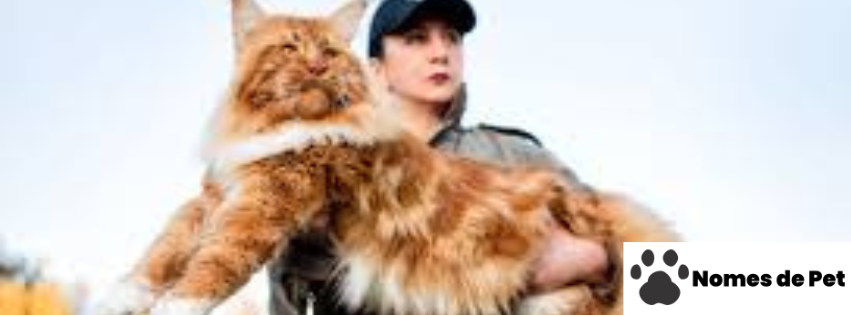 Nomes de Gatos Grandes