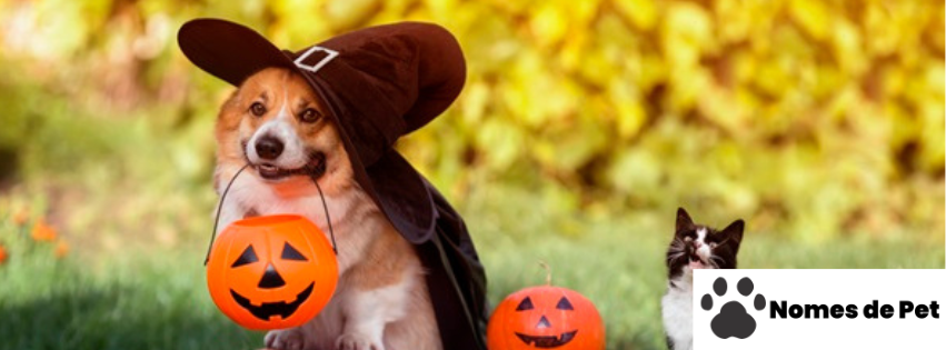 Nomes para Cães de Halloween