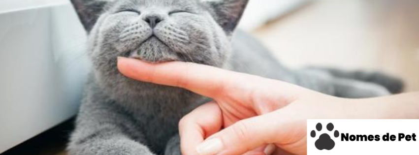 Nomes para Gatas Irmãs