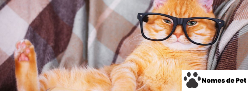 Nomes para Gatos Nerds